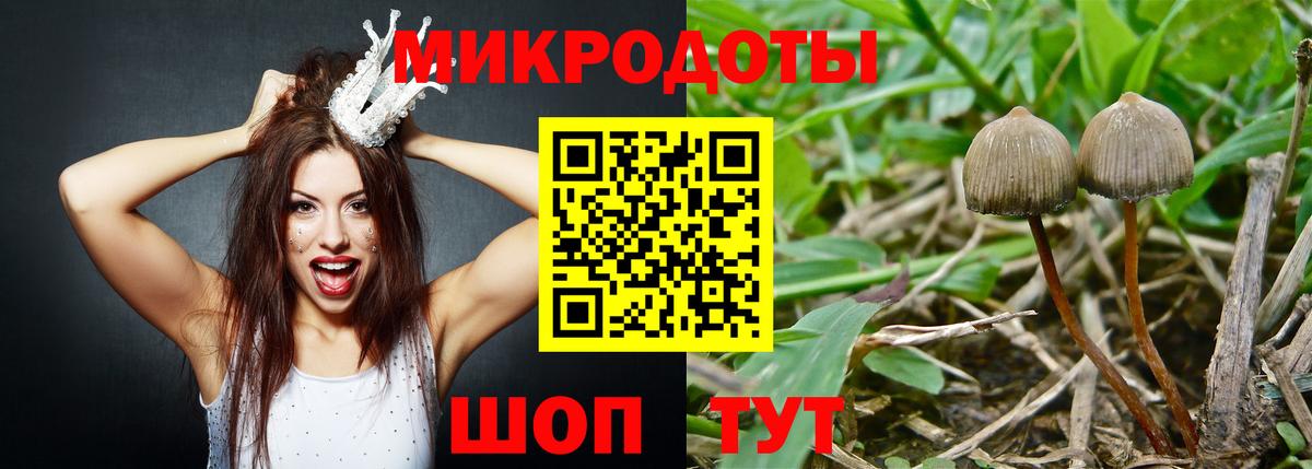 Псилоцибиновые грибы мицелий Медногорск