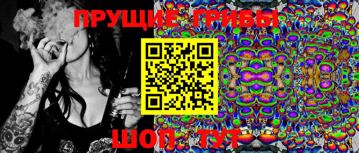 Галлюциногенные грибы MAGIC MUSHROOMS  Вход с VPN  где купить   Галлюциногенные грибы мицелий  Медногорск 